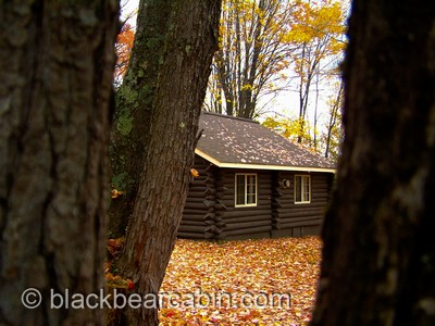 Black Bear Cabin Slideshow